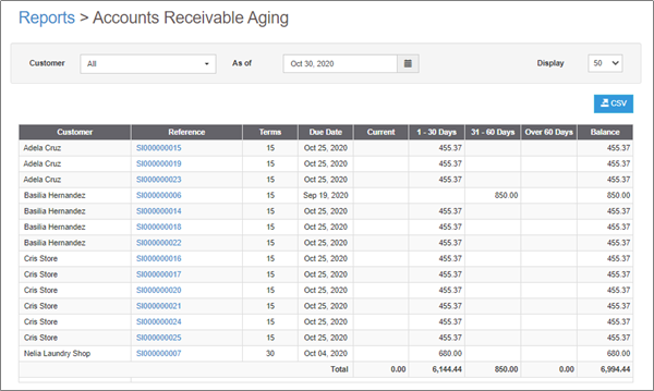 Oojeema Pro - Accounts Receivable Aging Report.png