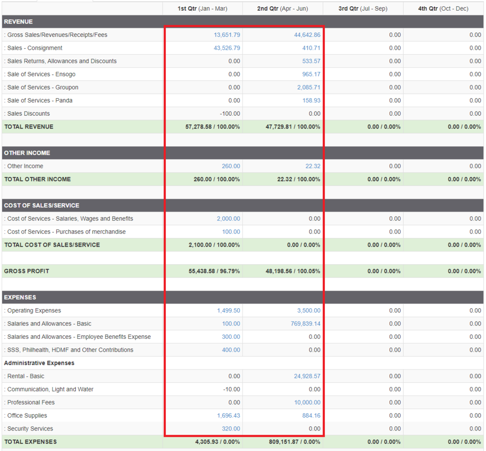 Pro Income Statement (View) - Step 03.1.png