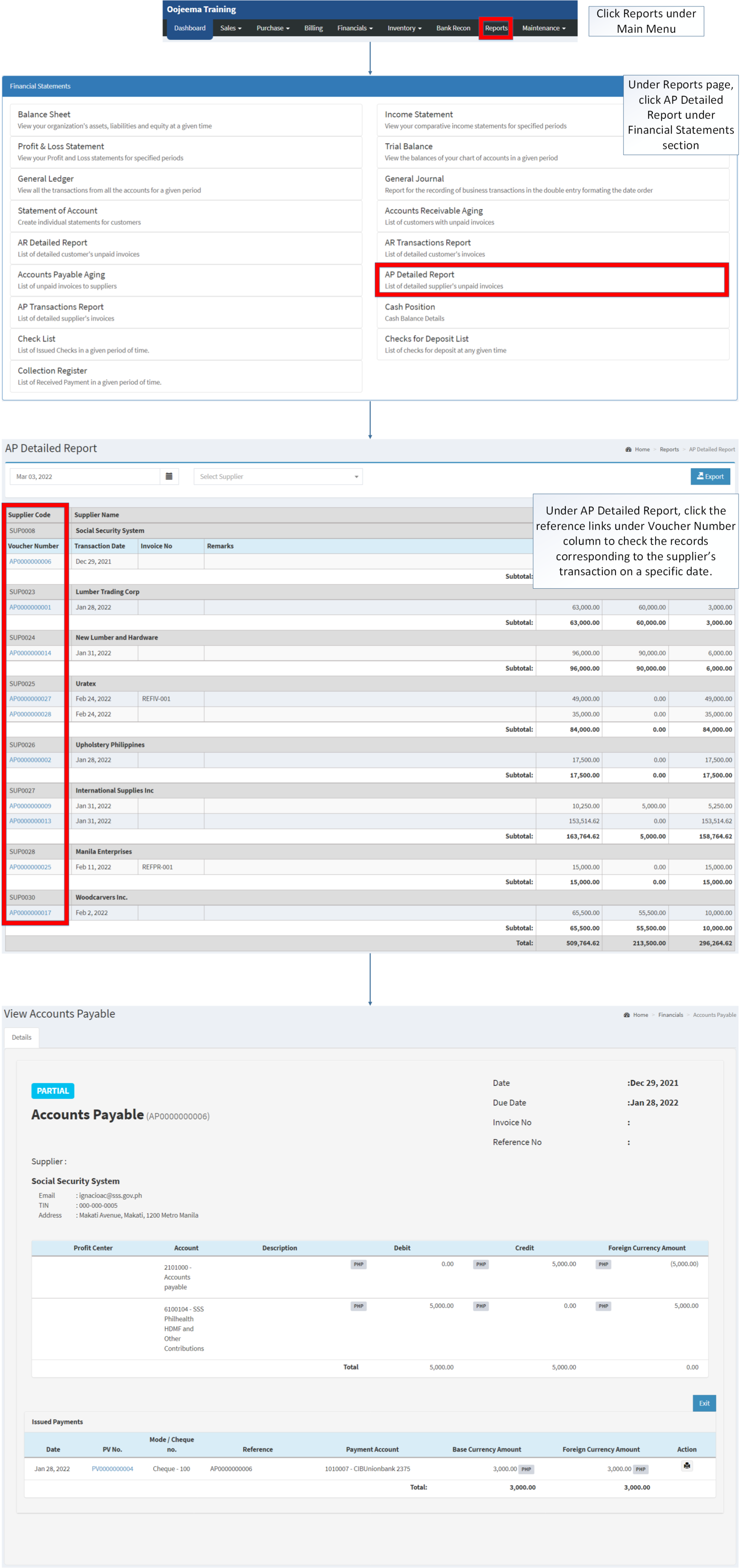 Financial Statements - AP Detailed Report - View.png