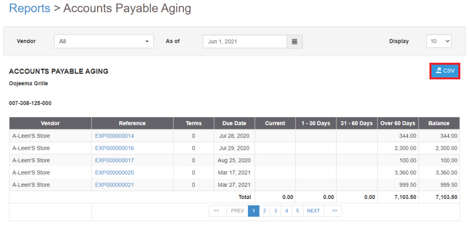 Pro Accounts Payable Aging (Export) - Step 03.png