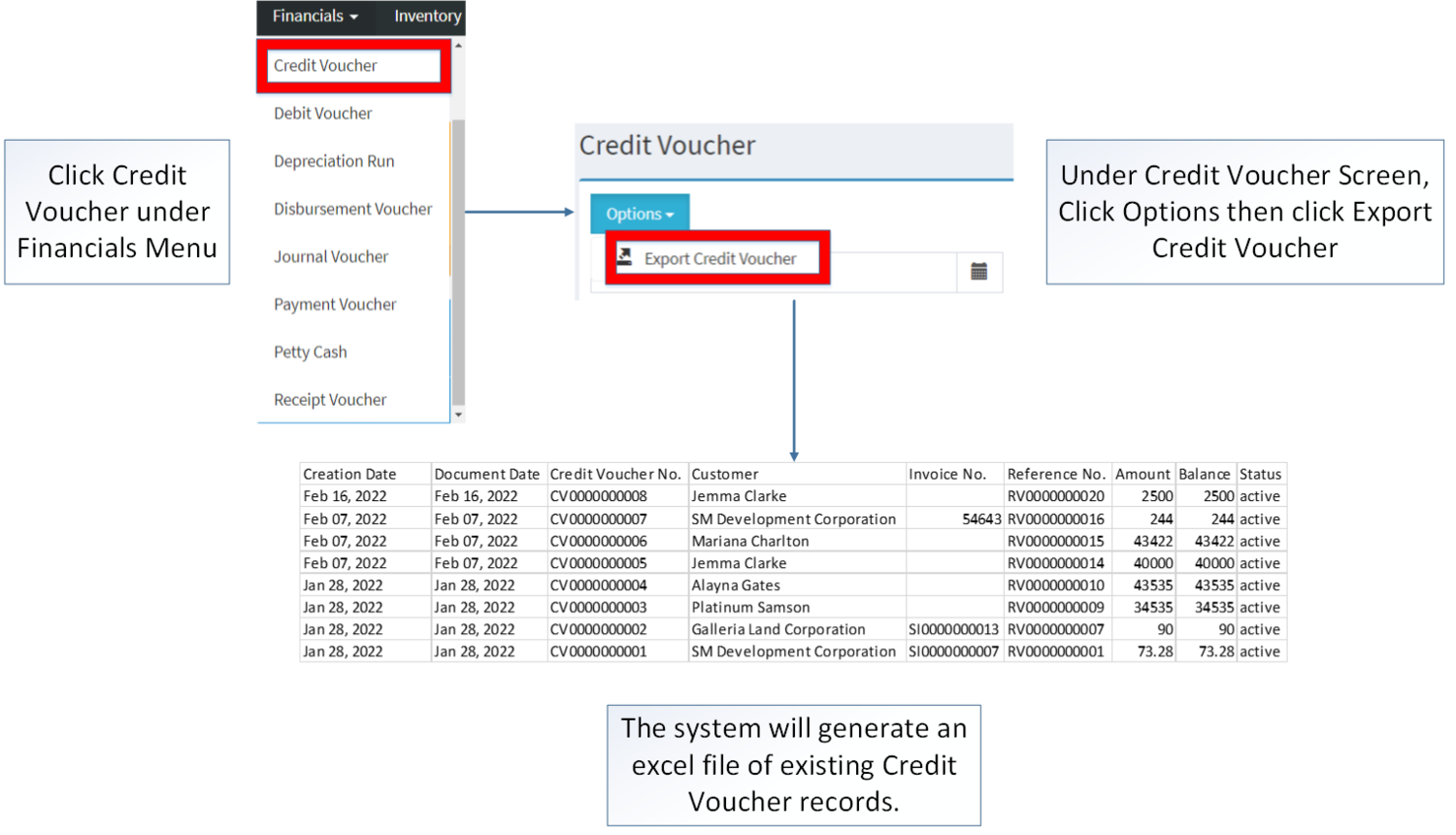 Financials - Credit Voucher - Export.png